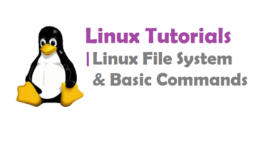 Linux Basic Commands