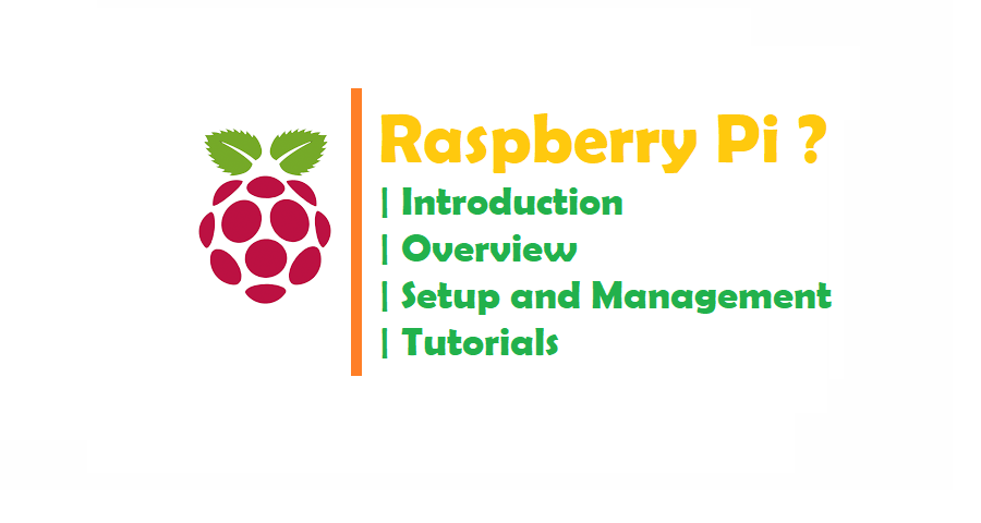 ripbot264 raspberry pi