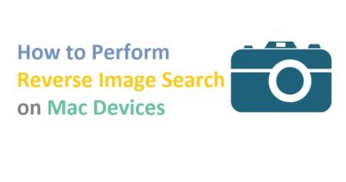 perform reverse image search